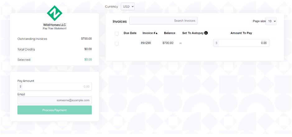 zonepayments_payment_page_statement_light.JPG