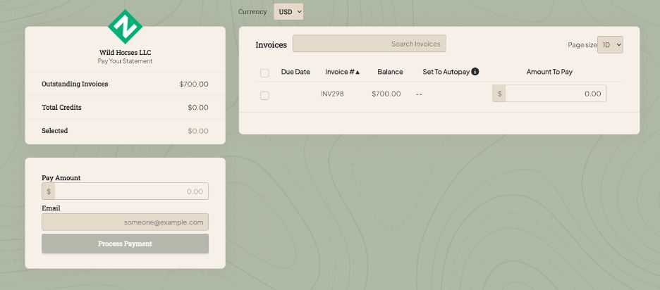 zonepayments_payment_page_statement_pastel.JPG